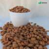 Apricot Kernels