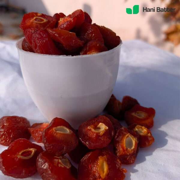 dried-red-plums