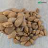 Katha Almonds