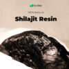 shilajit-resin