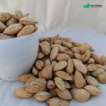 Soft shelled almonds