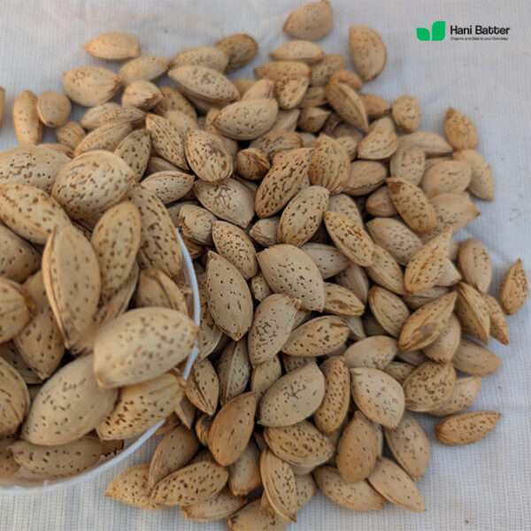 Soft shelled almonds